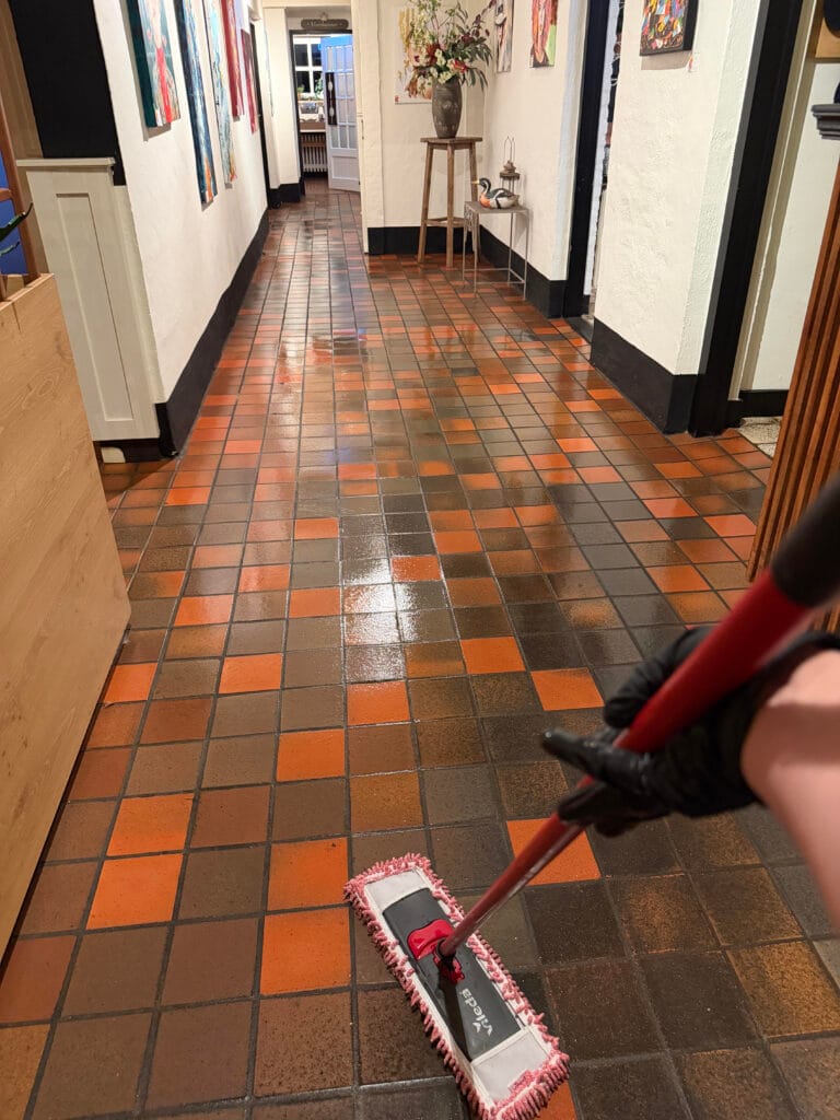lenalex schoonmaak bedrijf noord-limburg